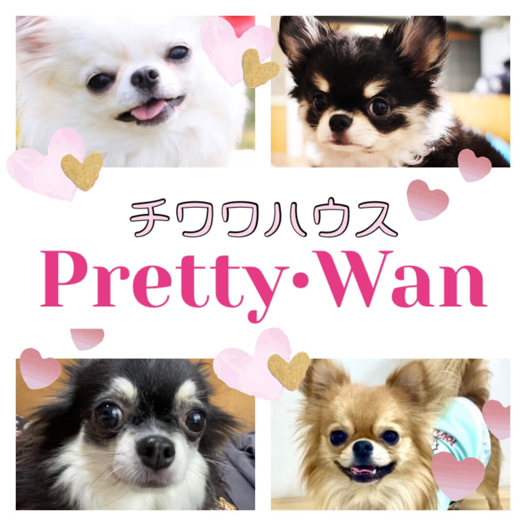 Pretty・Wan(プリティ・ワン)