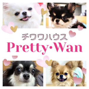Pretty・Wan(プリティ・ワン)